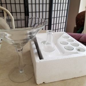 Folio 9pc Shooter Set in Oversized Martini